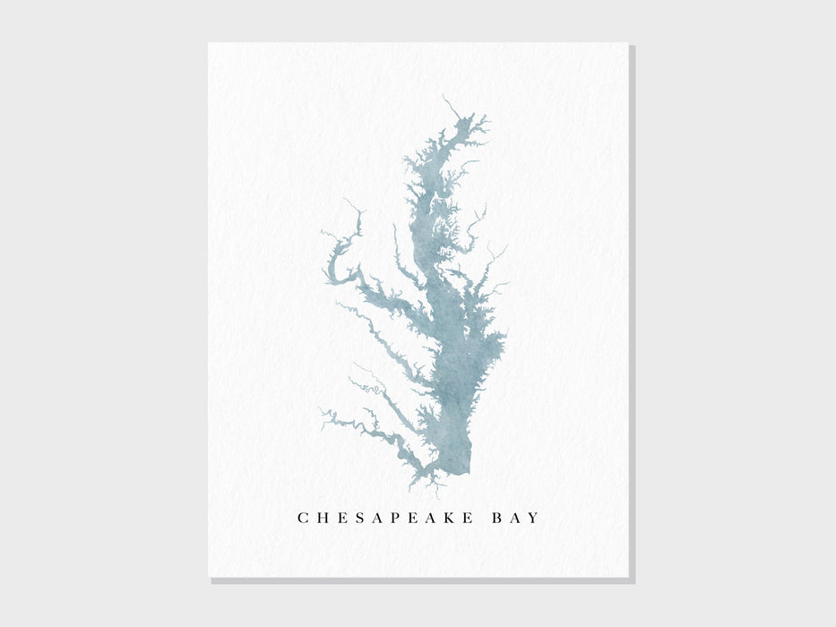 a watercolor painting of a seaweed on a white background