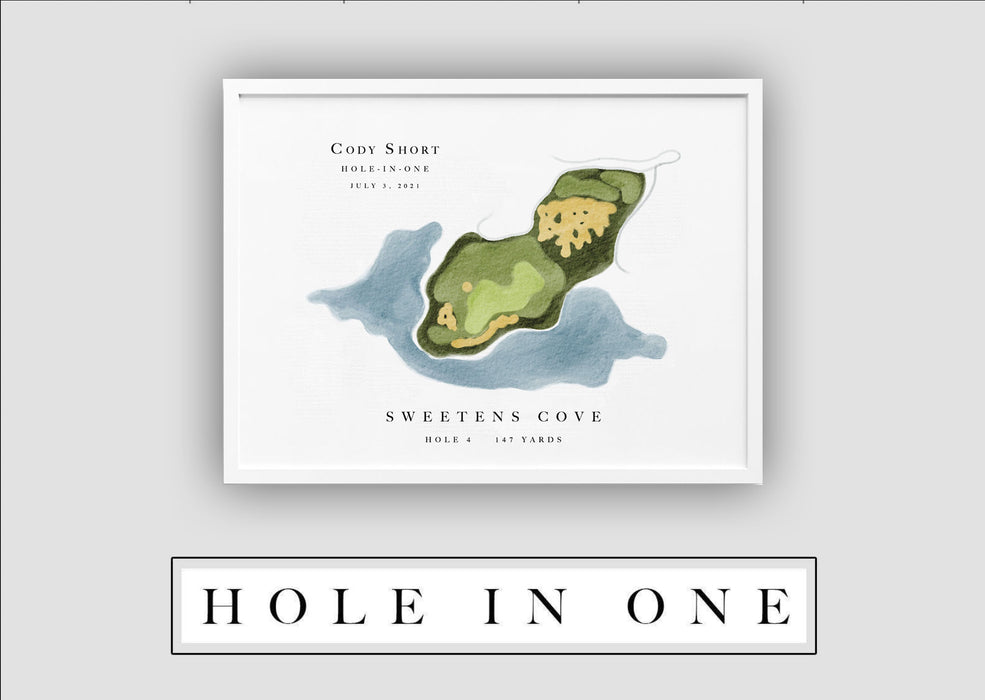 Custom Hole-in-One