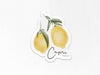 Capri Lemon Sticker | Amalfi Coast, Italy 