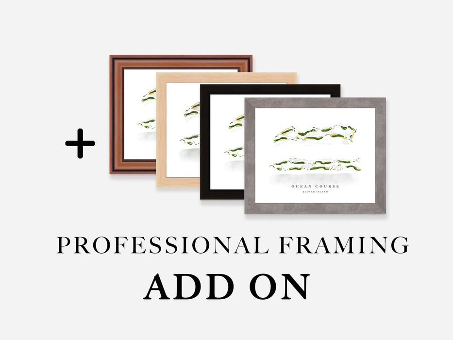 ADD-ON: Professional Custom Framing | Free Shipping
