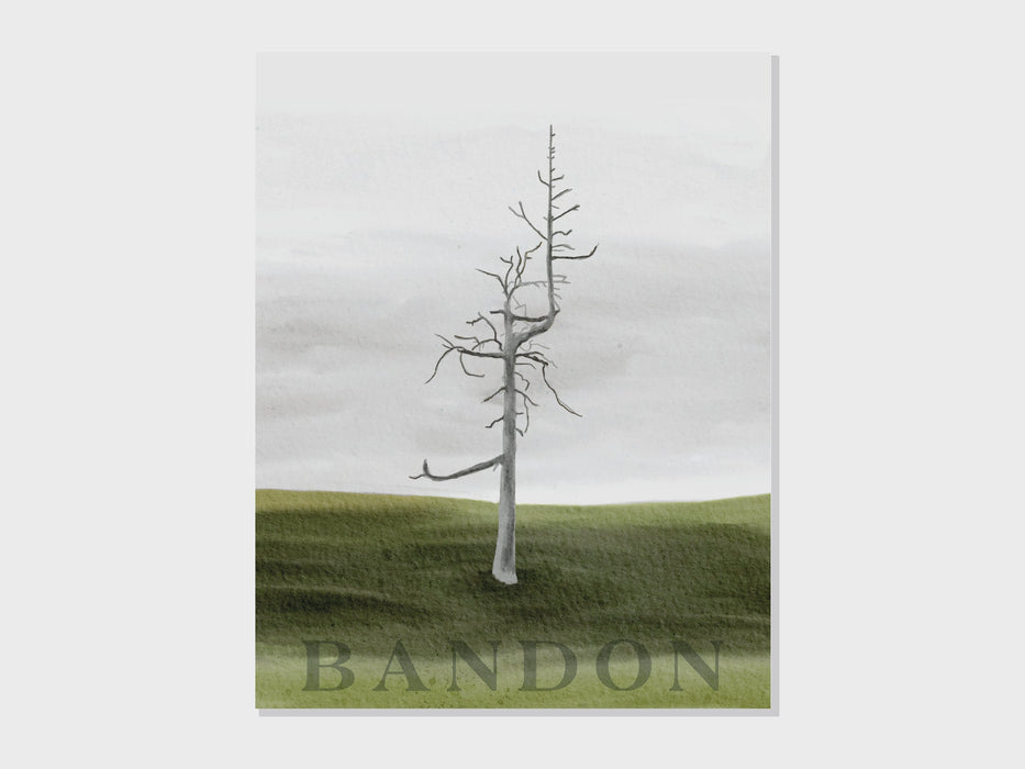 Ghost Tree at Bandon Dunes